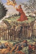 Sandro Botticelli prayer in the Garden (mk36) painting